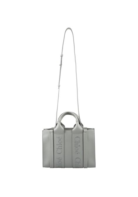 Woody Small Shopping Bag In Bay Green Leather Chloé | C23US397I6038U
