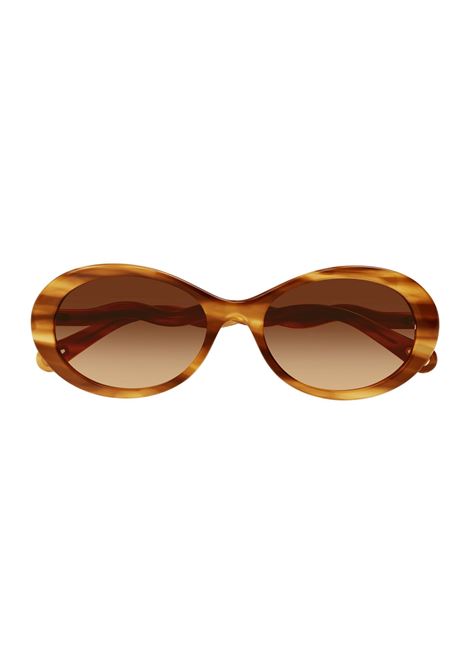 Havana Zelie Sunglasses Chloé | CH0088S002
