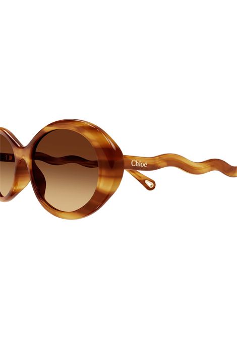 Havana Zelie Sunglasses Chloé | CH0088S002