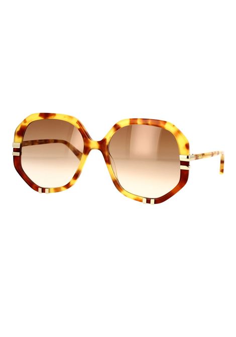 Havana/Brown West Sunglasses Chloé | CH0105S001