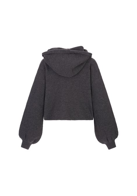 Dark Grey Pullover With Logo and Hoodie MSGM | 3541MDM201-23778796