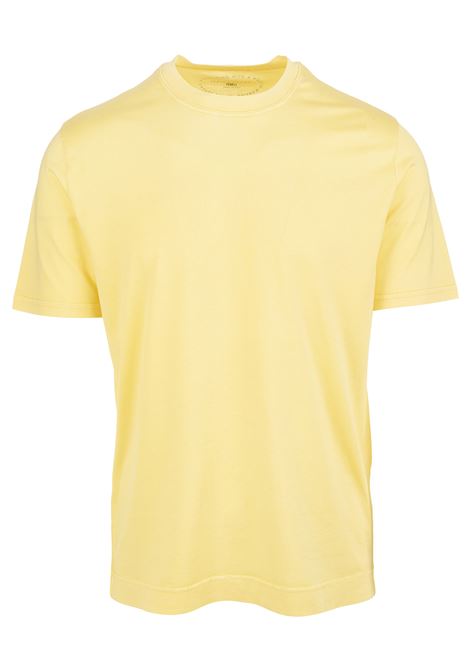 Man Basic T-Shirt In Yellow Organic Cotton FEDELI | UEF0103111