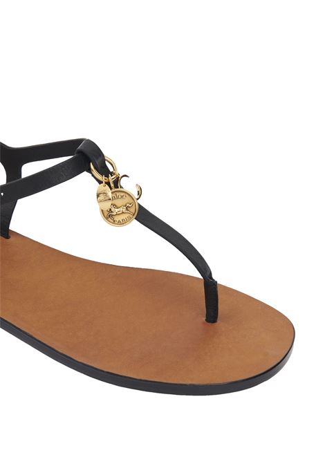  CHLOÉ | C25A12SLT001