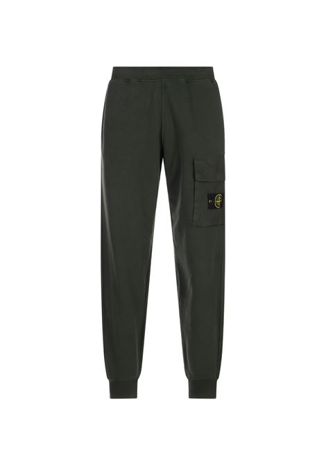 Joggers In Cotone Biologico Garzato Ginepro STONE ISLAND | Pantaloni | S15-6200003 S0A20V005E