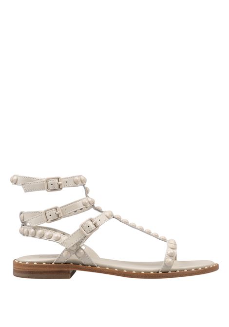 Talco Playbis Sandals ASH | S25-PLAYBIS08