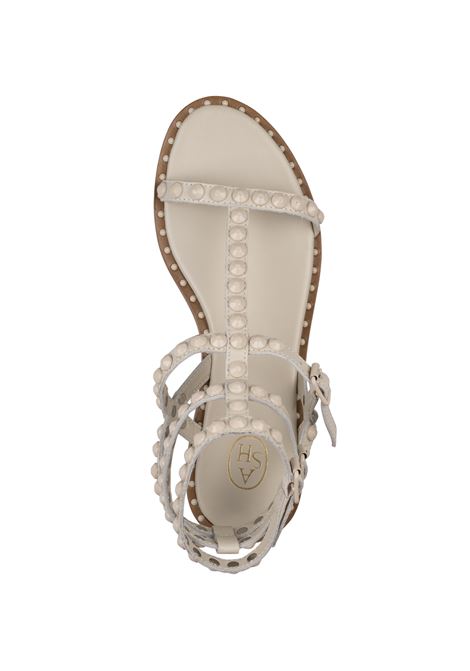 Talco Playbis Sandals ASH | S25-PLAYBIS08